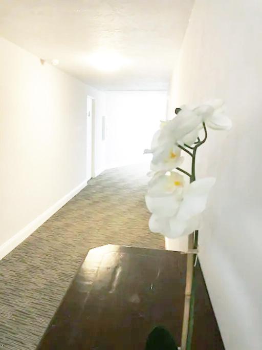 Burns Court Apartment Сарасота Екстер'єр фото